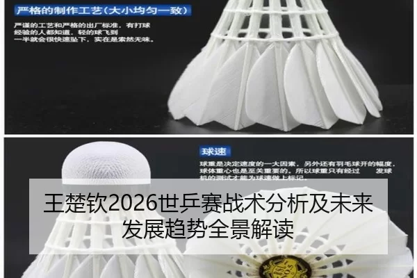 王楚钦2026世乒赛战术分析及未来发展趋势全景解读