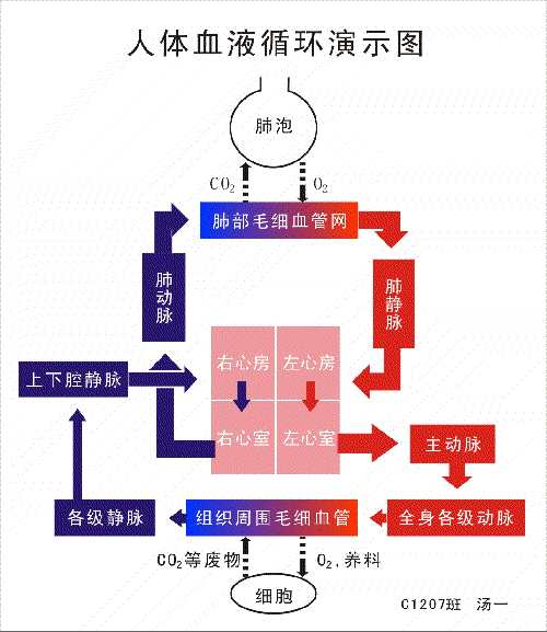 皇冠体育官方网站-爱奇艺自制剧全线开花:“外星人”播放破亿,“大长腿”强势接档(图1) 皇冠体育官方网站